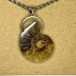 Ammonite Fossil Spiral Pendant Necklace